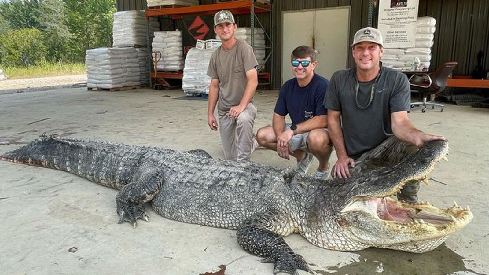 Ловци от Мисисипи убиха рекордьорски алигатор след битка, продължила цяла нощ