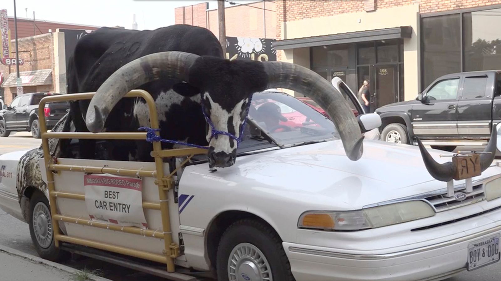 Шофьорът от Небраска спря, след като огромен бик беше забелязан на пътническата седалка