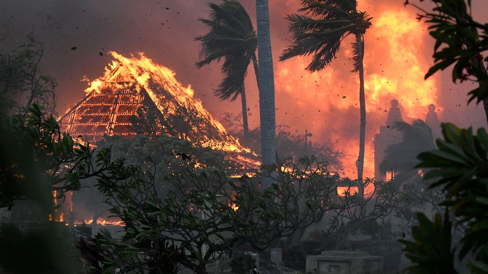 حرائق الغابات في هاواي: ستة قتلى على الأقل مع احتراق مساحات شاسعة من البلدة في ماوي |  اخبار العالم