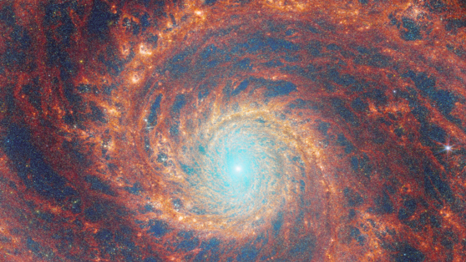 El Telescopio Espacial James Webb captura una galaxia distante girando con sorprendente detalle en una nueva imagen  Noticias de ciencia y tecnología.