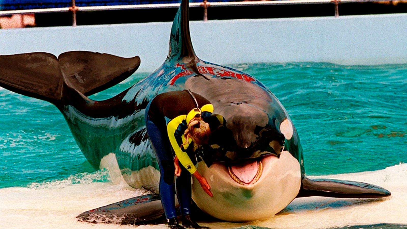 Orca Lolita умира след 52 години в плен в морския аквариум на Маями