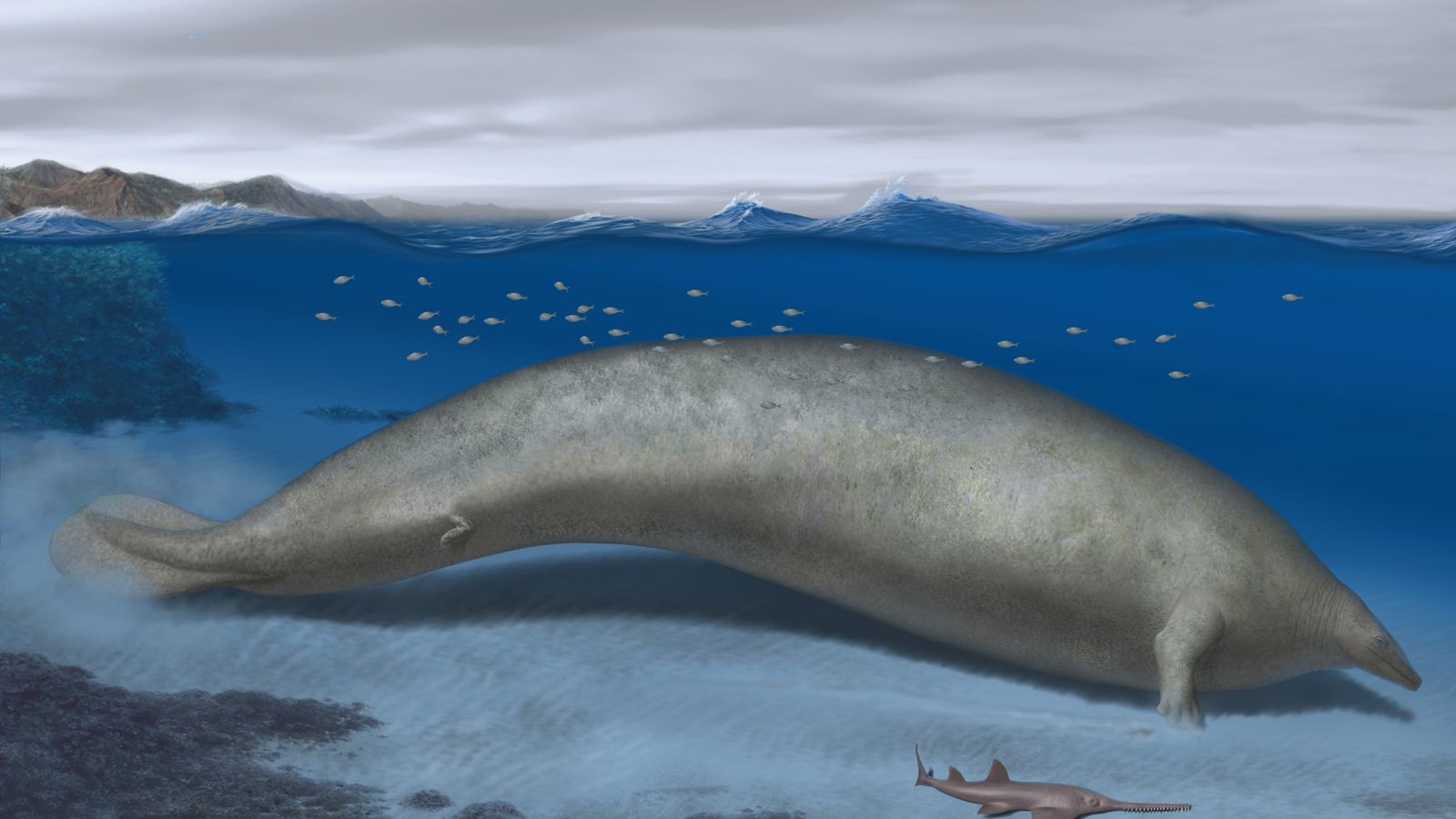 Изчезнал кит на 39 милиона години „може да е най-тежкото животно, живяло някога“