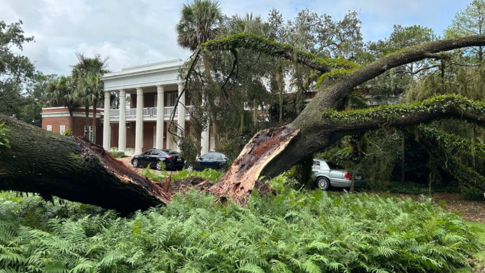Ouragan Idalia : un arbre tombe sur la maison de Ron DeSantis quelques instants après qu’il ait averti les gens de rester en sécurité |  Actualités américaines