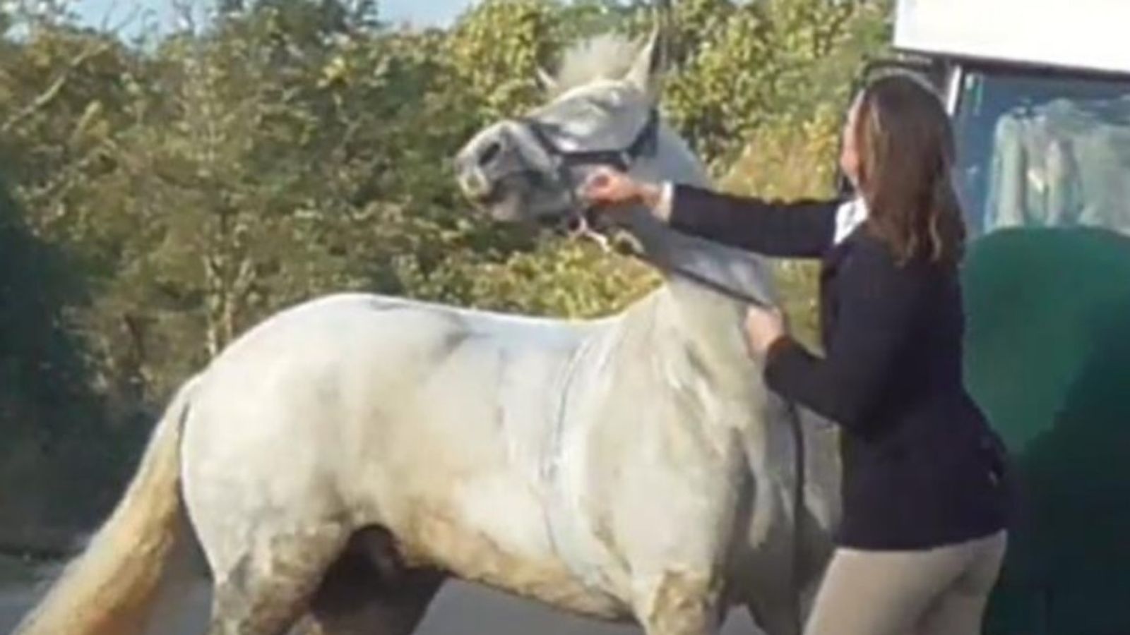 Sarah Moulds: Ex-teacher filmed 'slapping and kicking' Bruce Almighty horse found not guilty of animal cruelty