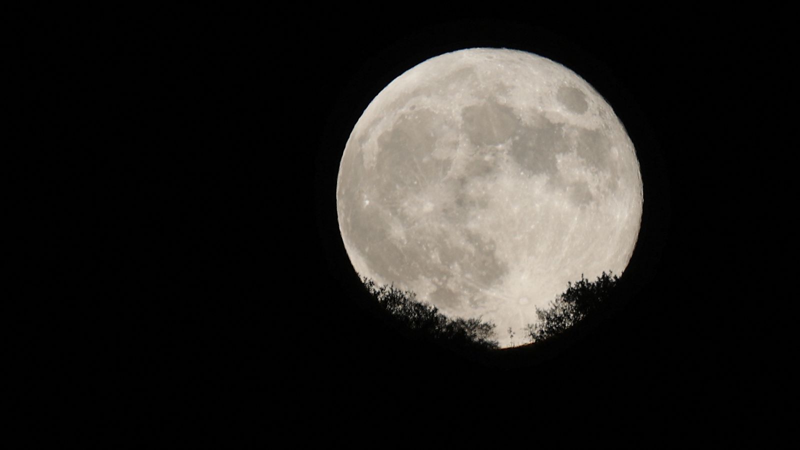 Blue supermoon: What to expect and when’s the best time to see it this week | Science & Tech News