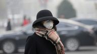 FILE PHOTO: A woman wearing a mask walks on a road as heavy smog blankets China&#39;s capital in Beijing, China November 26, 2018. REUTERS/Jason Lee/File Photo