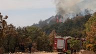 Smoke rises as a wildfire burns at Dadia National Park in the region of Evros