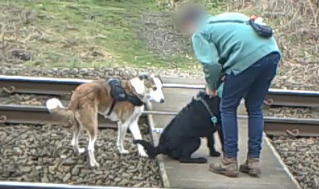 CCTV footage shows pedestrians 'risking their lives' at level crossings - Vimarsana News