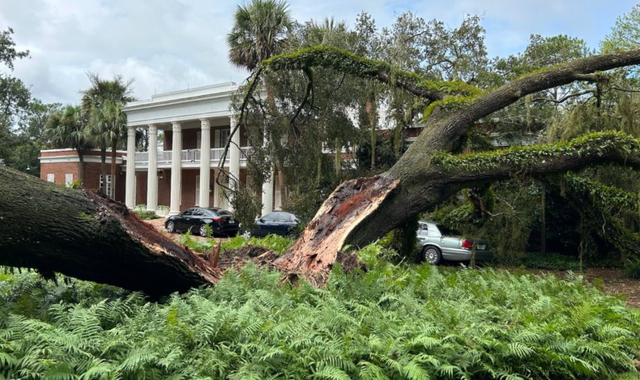 Hurricane Idalia: Tree falls on Ron DeSantis' house moments after he warned people to stay safe - Vimarsana News