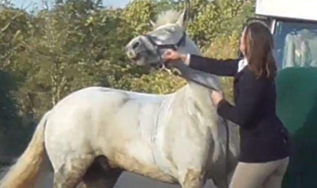 Sarah Moulds: Ex-teacher tells court her life has been 'torn to pieces' by pony... - Vimarsana News