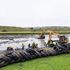 'It points to a deeper problem': 2,000 tyres pulled from river during clean-up