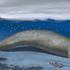 Ancient whale species 'may be heaviest animal that ever lived'