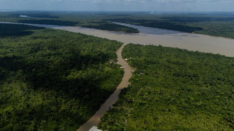 Brazil: 'A great opportunity to save the Amazon' | News UK Video News ...