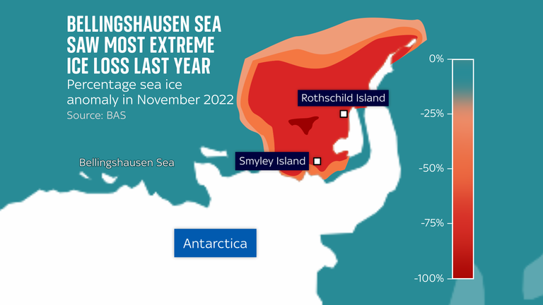 Sea ice loss last year was worst in the Bellingshausen Sea region, which had lost all sea ice by November