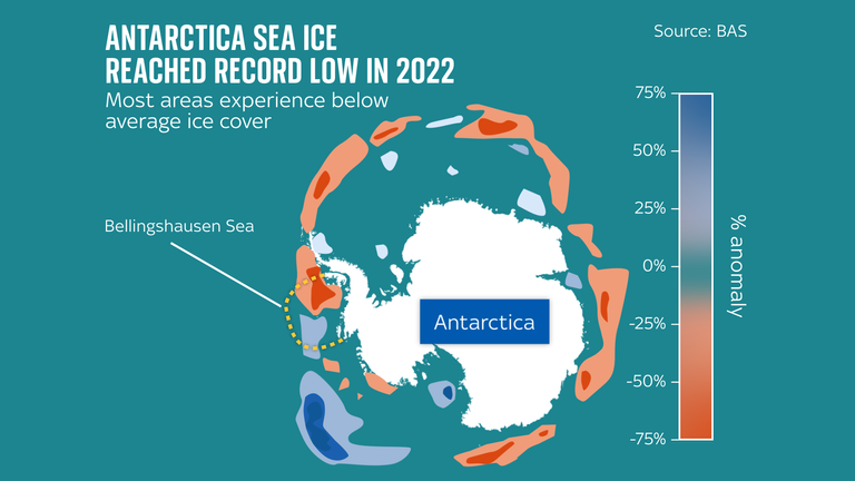 Last year was Antarctica&#39;s worst on record for sea ice cover