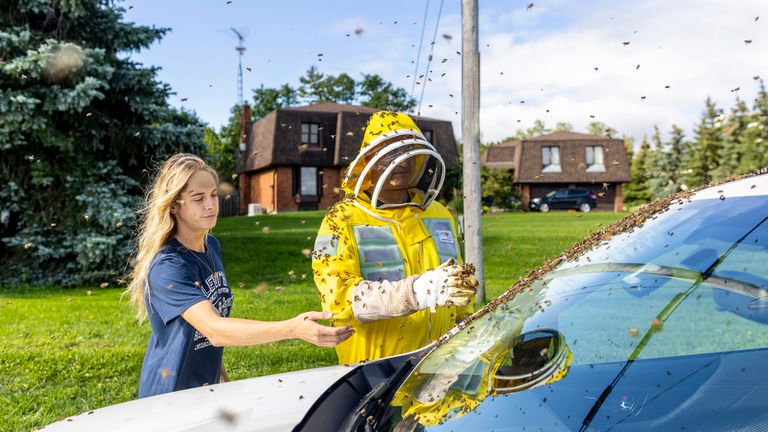 Beekeepers Terri Faloney, left, and Tyler Troute. Pic: AP