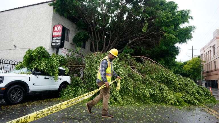 A worker drags caution tape to block off Pico Boulevard after a tree fell, Sunday, Aug. 20, 2023, in Los Angeles. Tropical Storm Hilary swirled northward Sunday just off the coast of Mexico&#39;s Baja California peninsula, no longer a hurricane but still carrying so much rain that forecasters said "catastrophic and life-threatening" flooding is likely across a broad region of the southwestern U.S.(AP Photo/Ryan Sun)