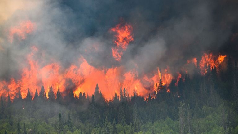 Flames reach upwards along the edge of a wildfire as seen from a Canadian Forces helicopter surveying the area near Mistissini, Quebec, Canada June 12, 2023. Cpl Marc-Andre Leclerc/Canadian Forces/Handout via REUTERS THIS IMAGE HAS BEEN SUPPLIED BY A THIRD PARTY
