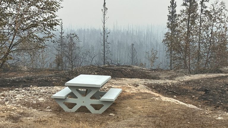 Trees and vegetation charred by a wildfire are seen in Enterprise, Northwest Territories, Canada August 15, 2023 in this picture obtained from social media. Ryan Planche/via REUTERS THIS IMAGE HAS BEEN SUPPLIED BY A THIRD PARTY. MANDATORY CREDIT. NO RESALES. NO ARCHIVES.