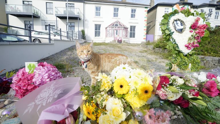 A cat stands alongside floral tributes left outside the former home of Sinead O&#39;Connor in Bray, Co Wicklow, ahead of the late singer&#39;s funeral today. Picture date: Tuesday August 8, 2023.
