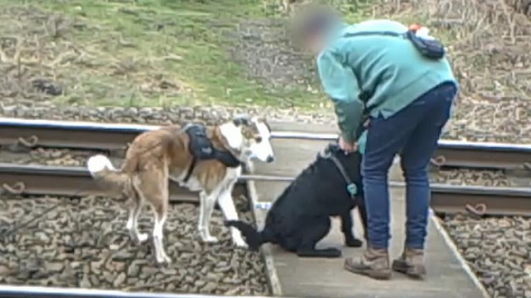 Dog walker Network Rail