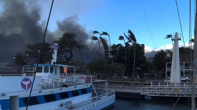 Lahiana harbour. Pic: AP