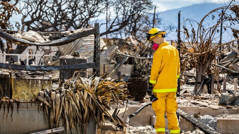 Emergency services conduct search operations of areas damaged by Maui wildfires in Lahaina, Hawaii