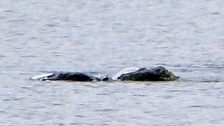 Mystery creature on Loch Ness which was photographed by Chie Kelly 
Pic:Chie Kelly/Peter Jolly Northpix