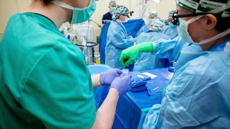 Medical researchers collect a kidney biopsy during the transplant of a pig&#39;s kidney into a donated body  
Pic:UAB/AP