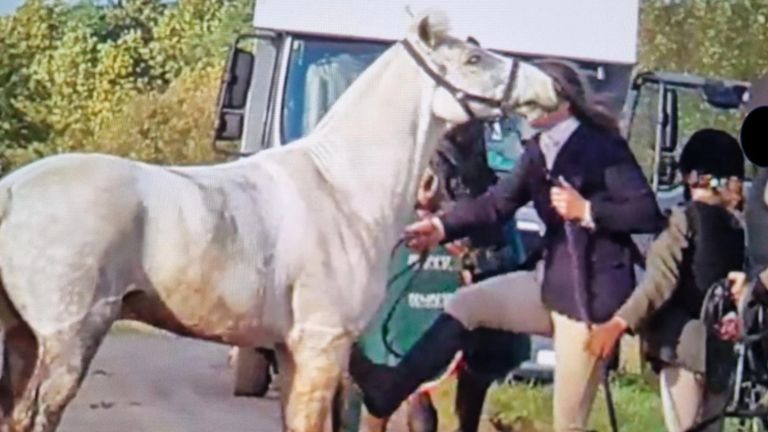 Moulds 'chastised' a grey pony named Bruce Almighty