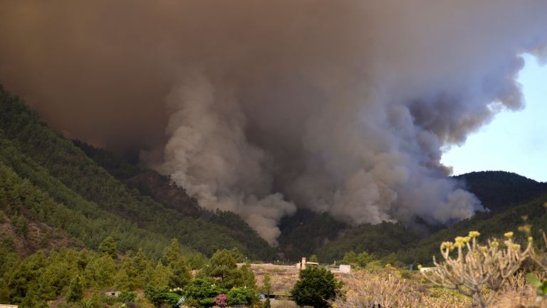 The flames advance through the forest near the town of El Rosario, as wildfire continues to burn on Tenerife, Canary Islands, Wednesday, Aug. 16, 2023. An out-of-control wildfire on the Spanish Canary island of Tenerife has burned some 2,600 hectares (6,400 acres) of land and forced the evacuation of some 300 people from several small towns, Canary Islands regional president Fernando Clavijo said Thursday. (Europa Press via AP)