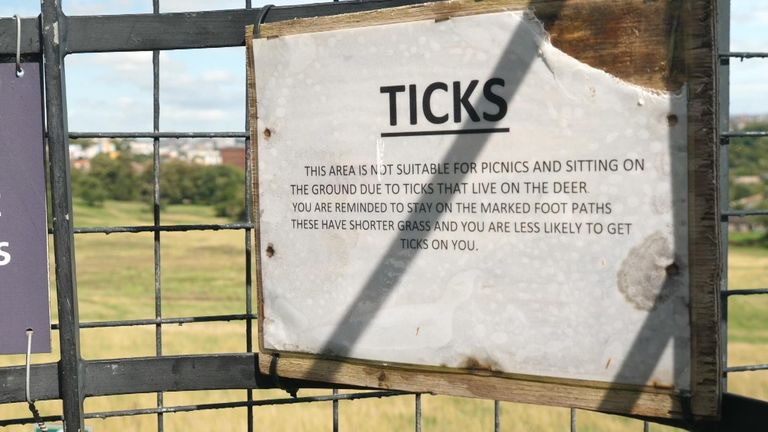 Signs warning about ticks
