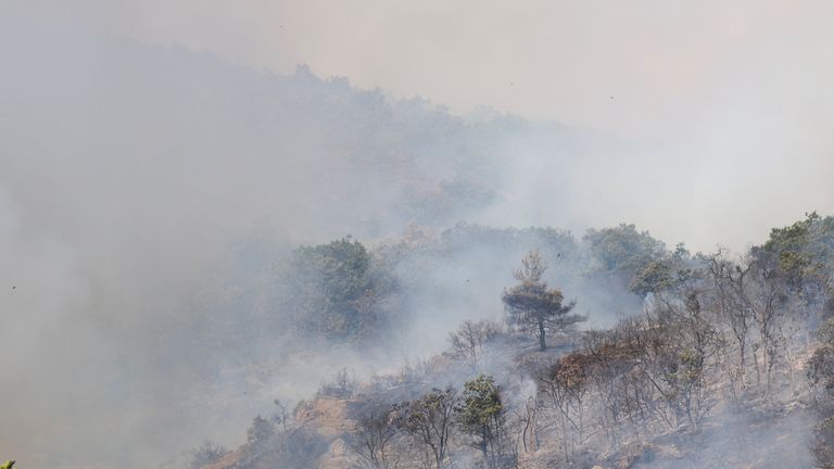 Smoke rises as a wildfire burns at Dadia National Park in the region of Evros