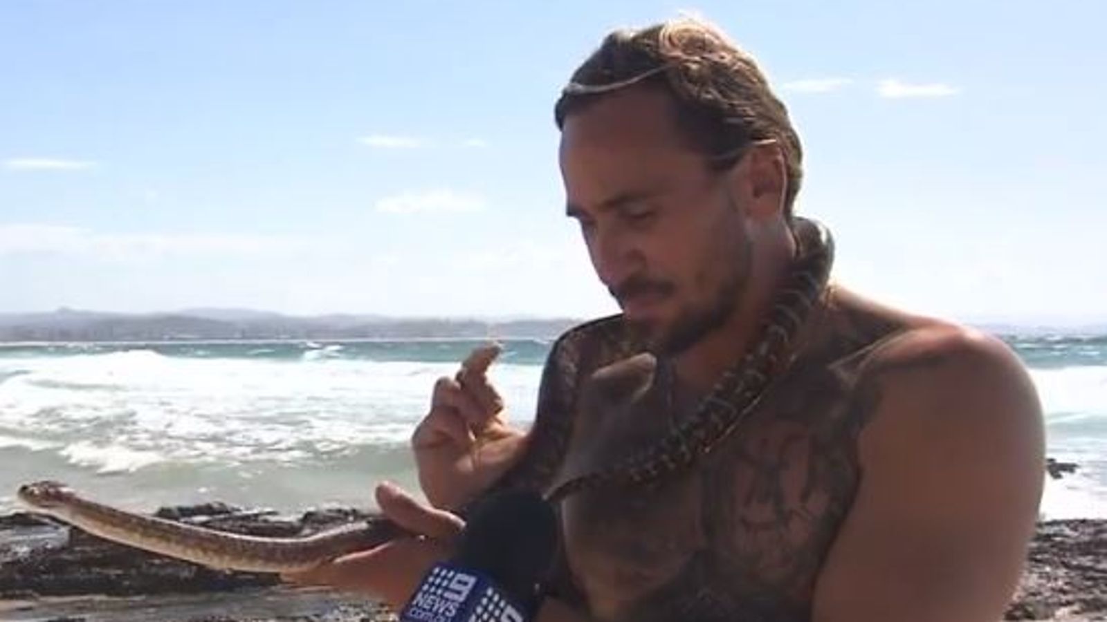 Австралия: Човек, който е взел домашен любимец на сърф със змия, е глобен
