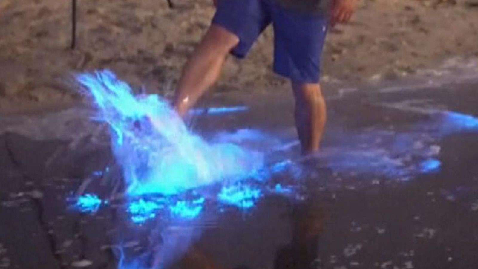 Spellbinding bioluminescence in California sea as plankton appearances