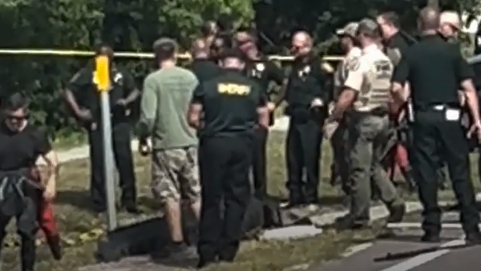 Флорида: Алигатор е убит, след като е бил открит с човешки останки в устата