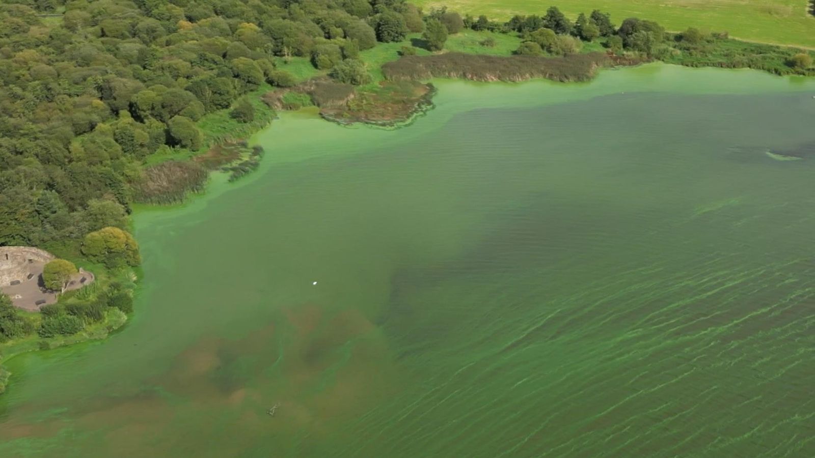 Lough Neagh Largest Lake In UK And Ireland Being Poisoned By Toxic   Skynews Lough Neagh Algae 6285929 