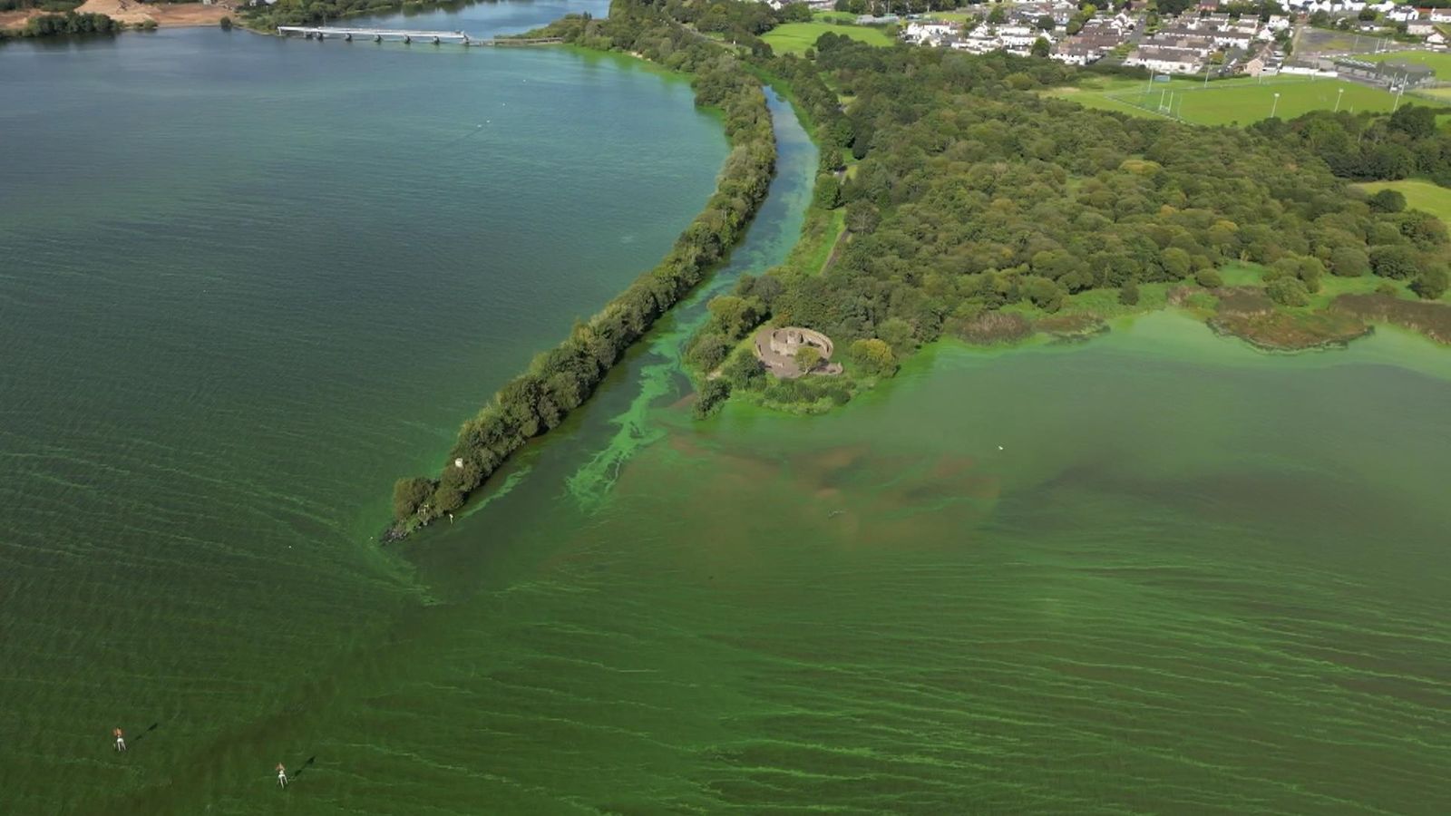 Lough Neagh: Най-голямото езеро в Обединеното кралство и Ирландия е отровено от токсични водорасли
