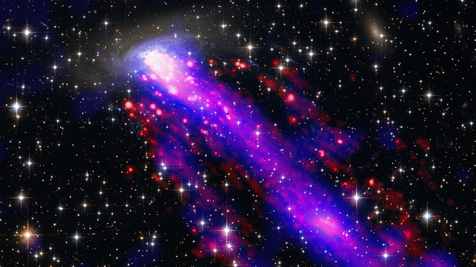 nasa kepler nasa kepler