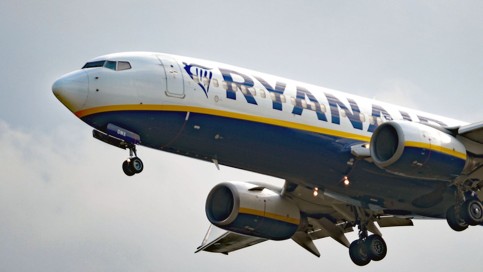 Ryanair cuts profit forecast after airline removed from booking sites
