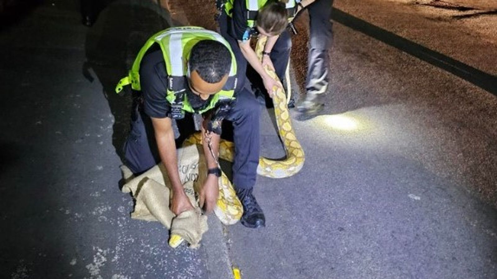 Уест Бромич: Полицията спасява дълга 12 фута жълта змия „без твърде много подхлъзвания и пързалки“