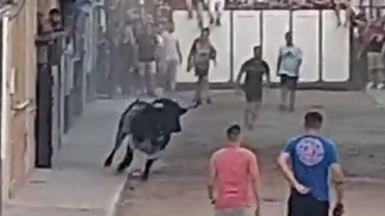Мъж умира, след като е бил намушкан в испанско бягане с бикове в региона на Валенсия