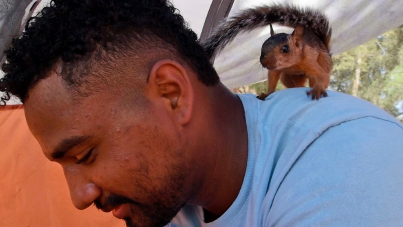 Мъж, бягащ от Венецуела, е изправен пред необходимост да се сбогува с домашна катерица след пътуване от 3000 мили до границата
