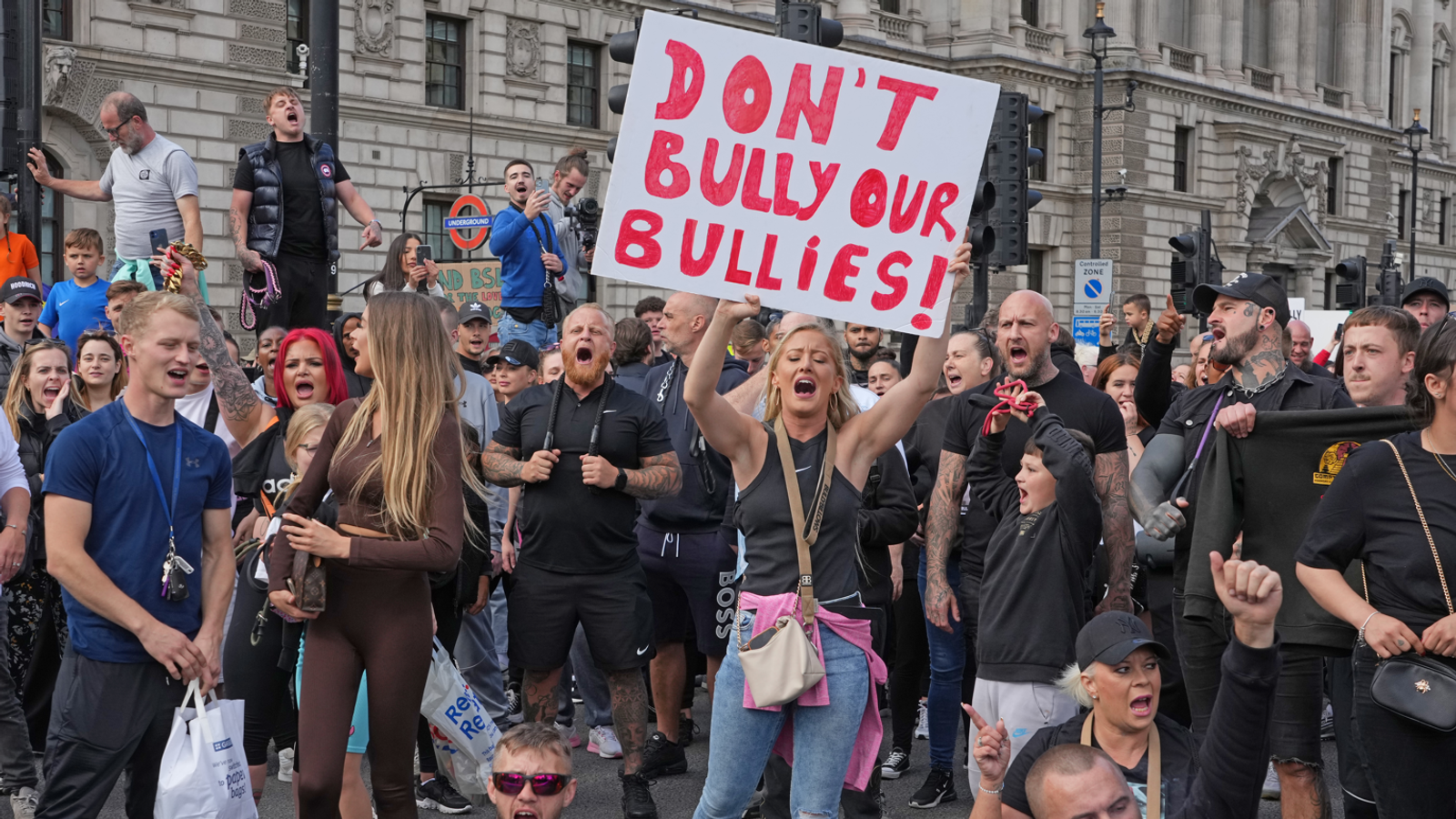 XL bully protesters rally in London after ban by Rishi Sunak - as man injured in dog attack in Southwark park