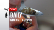 Consumption rooms: How much of a solution for Scotland’s drug problem? Listen to the Sky News Daily with Niall Paterson