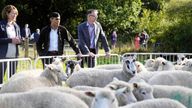 Rishi Sunak watches sheep during a visit to Writtle University College, in Writtle, near Chelmsford 