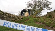 Forensic investigators from Northumbria Police examine the felled Sycamore Gap tree