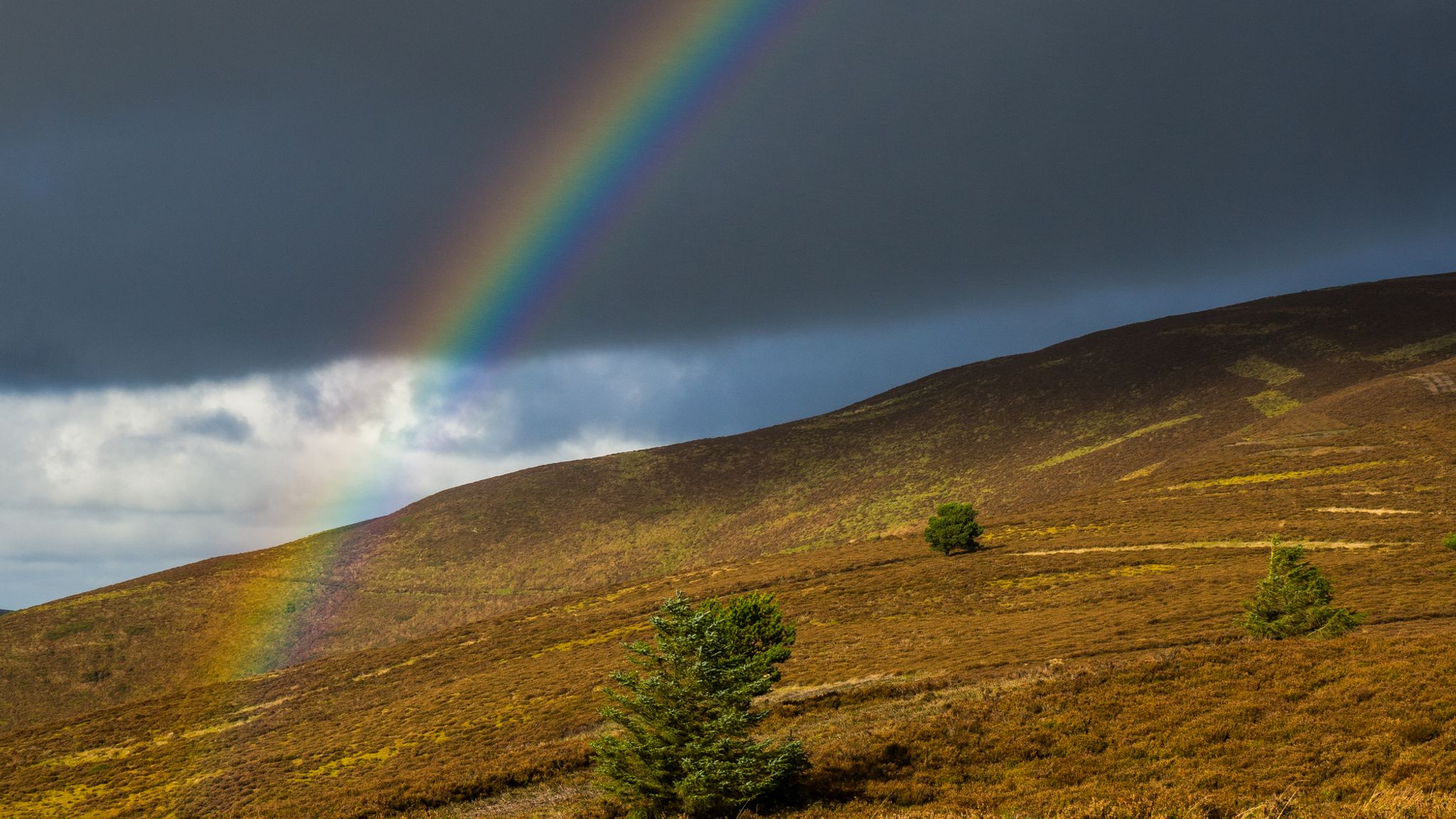 Plans for new national park status spark concerns Clwydian Range and ...