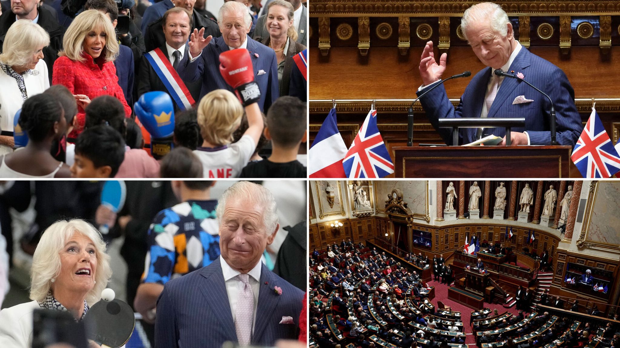 King Charles makes historic speech at French senate