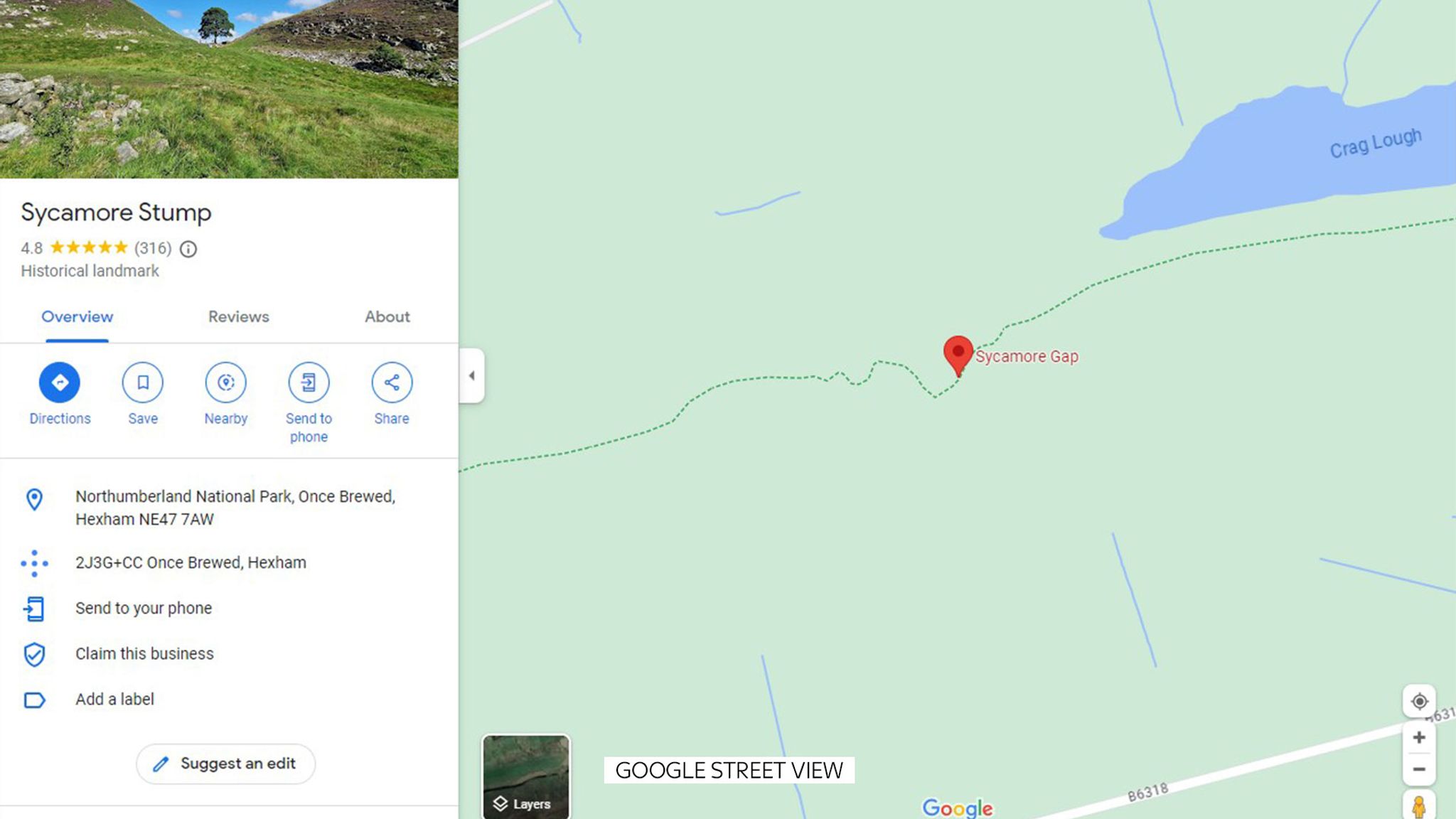 Sycamore Gap Iconic tree at Hadrian's Wall 'deliberately felled